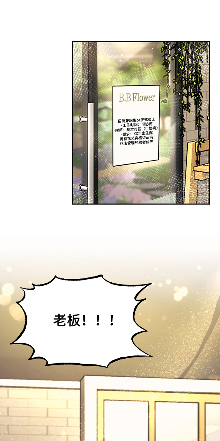 第3章：应聘3