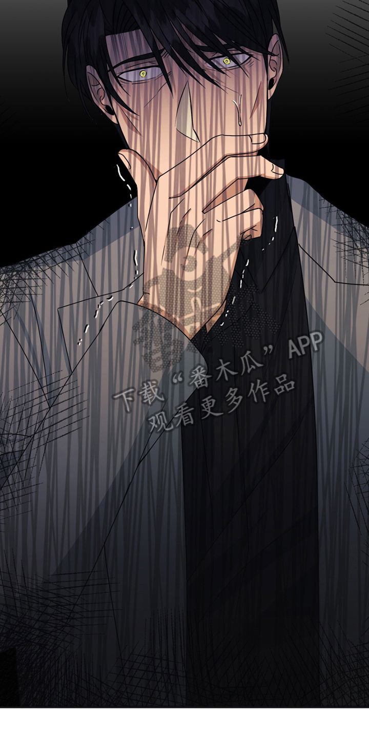 第17章：冲动15