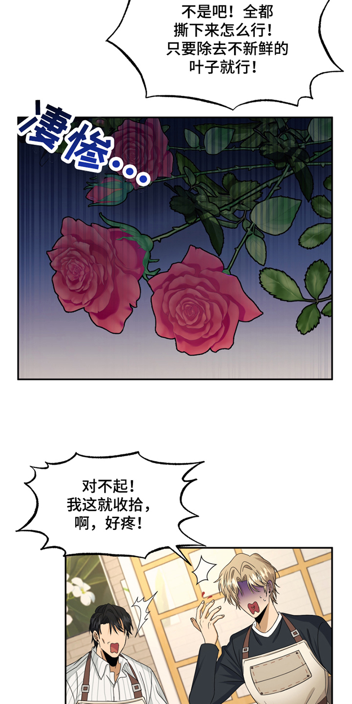 第3章：应聘12