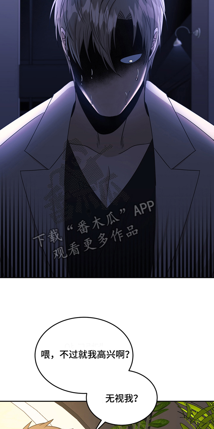 第21章：揭短11
