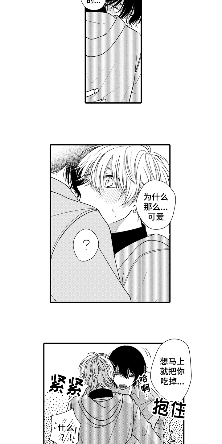 第17章：表白9