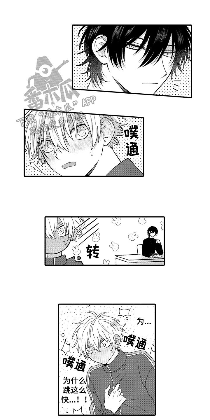第11章：在意0