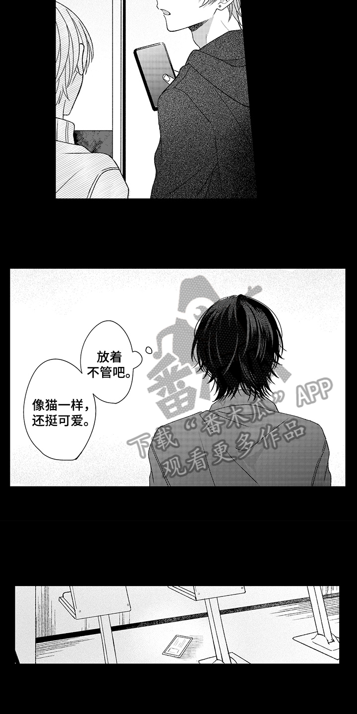 第20章：关注8