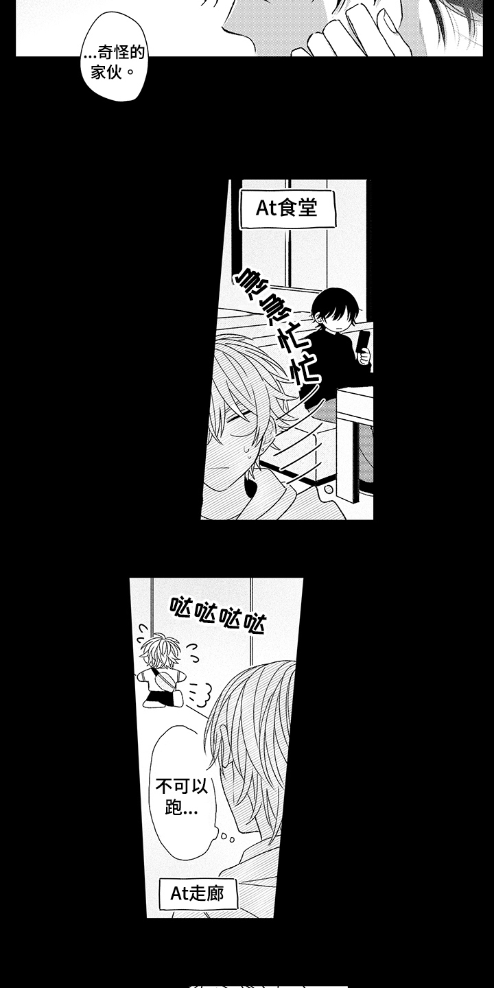 第20章：关注5