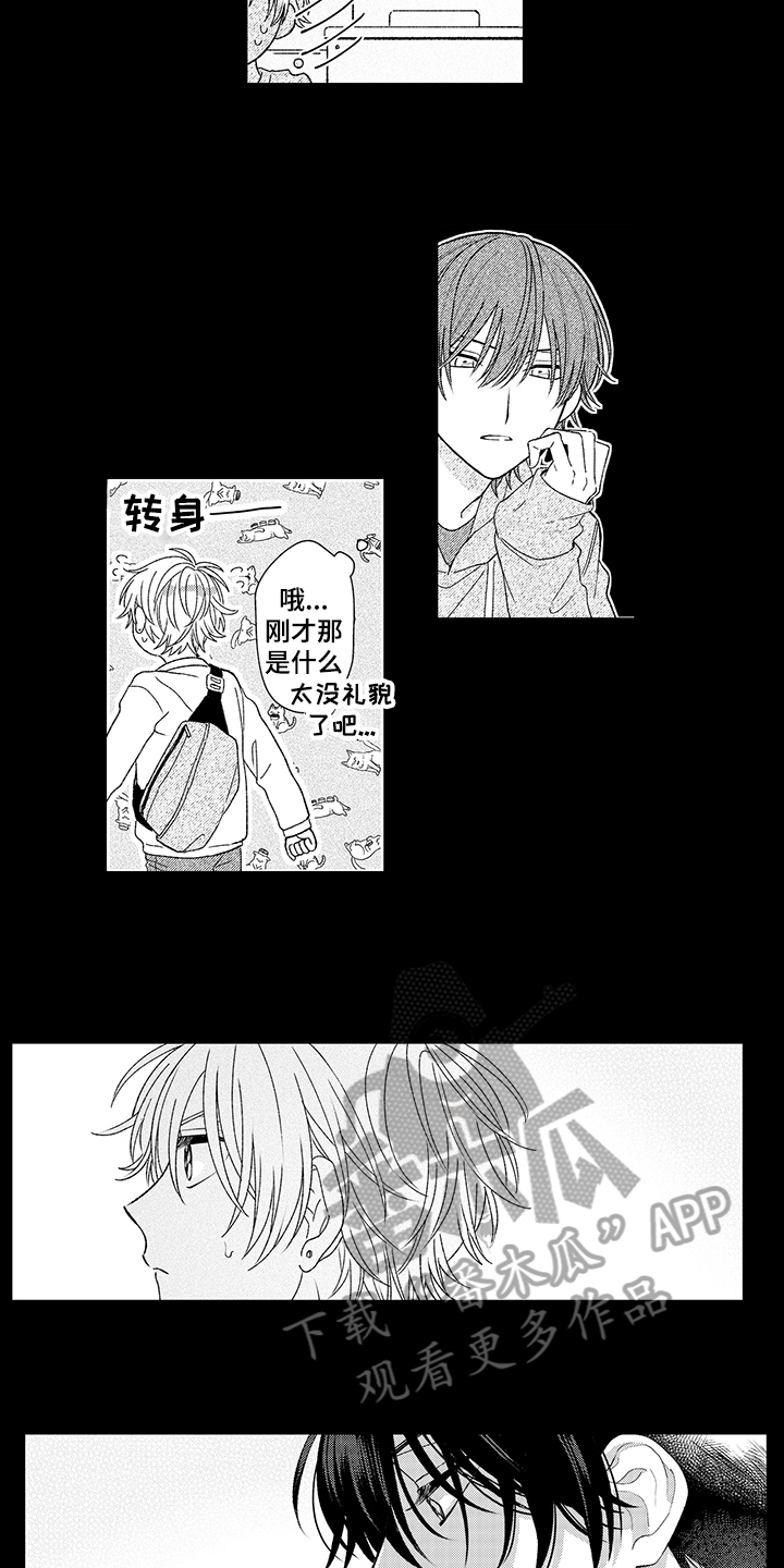 第20章：关注4