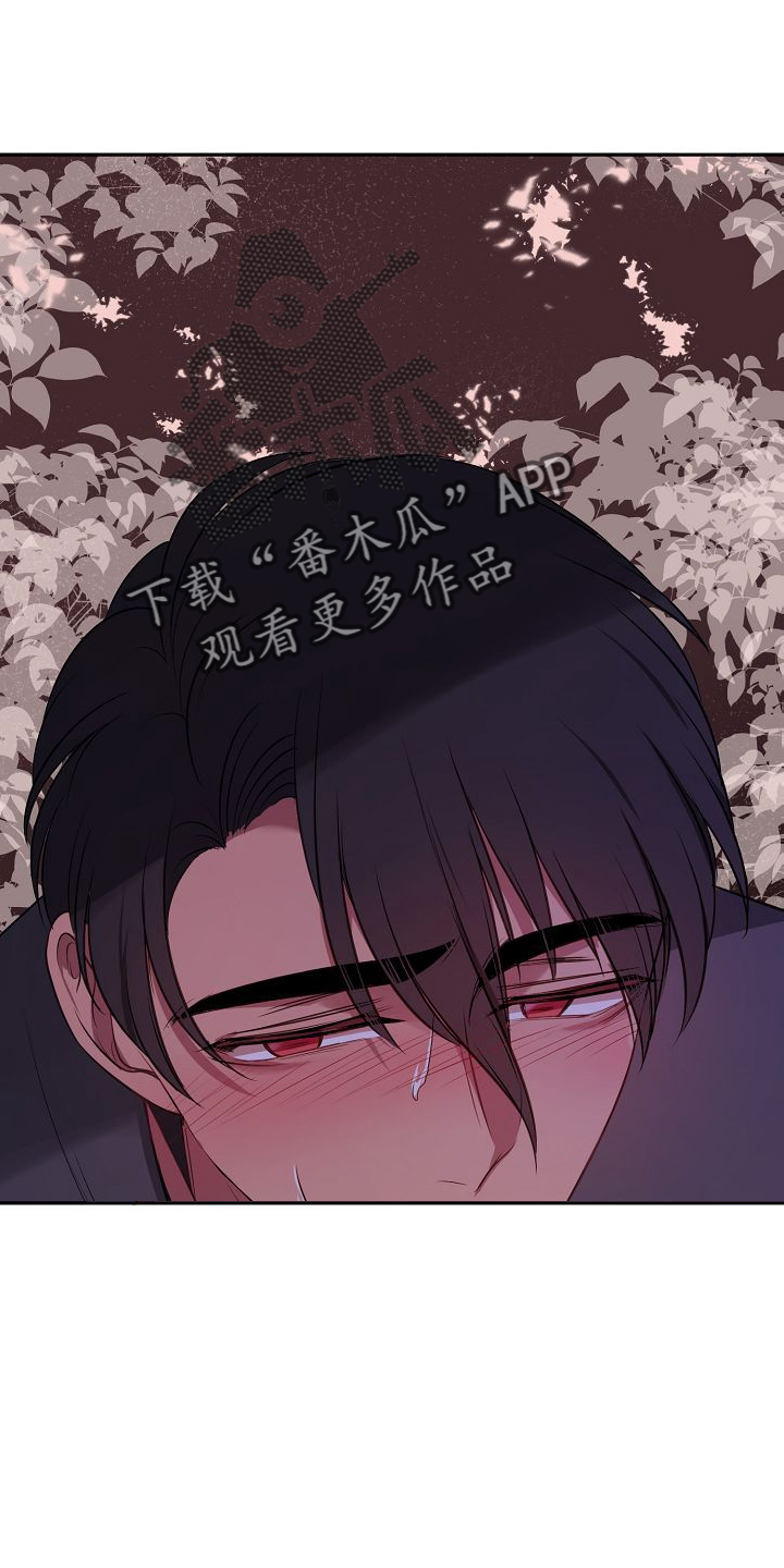第31章：别后悔5