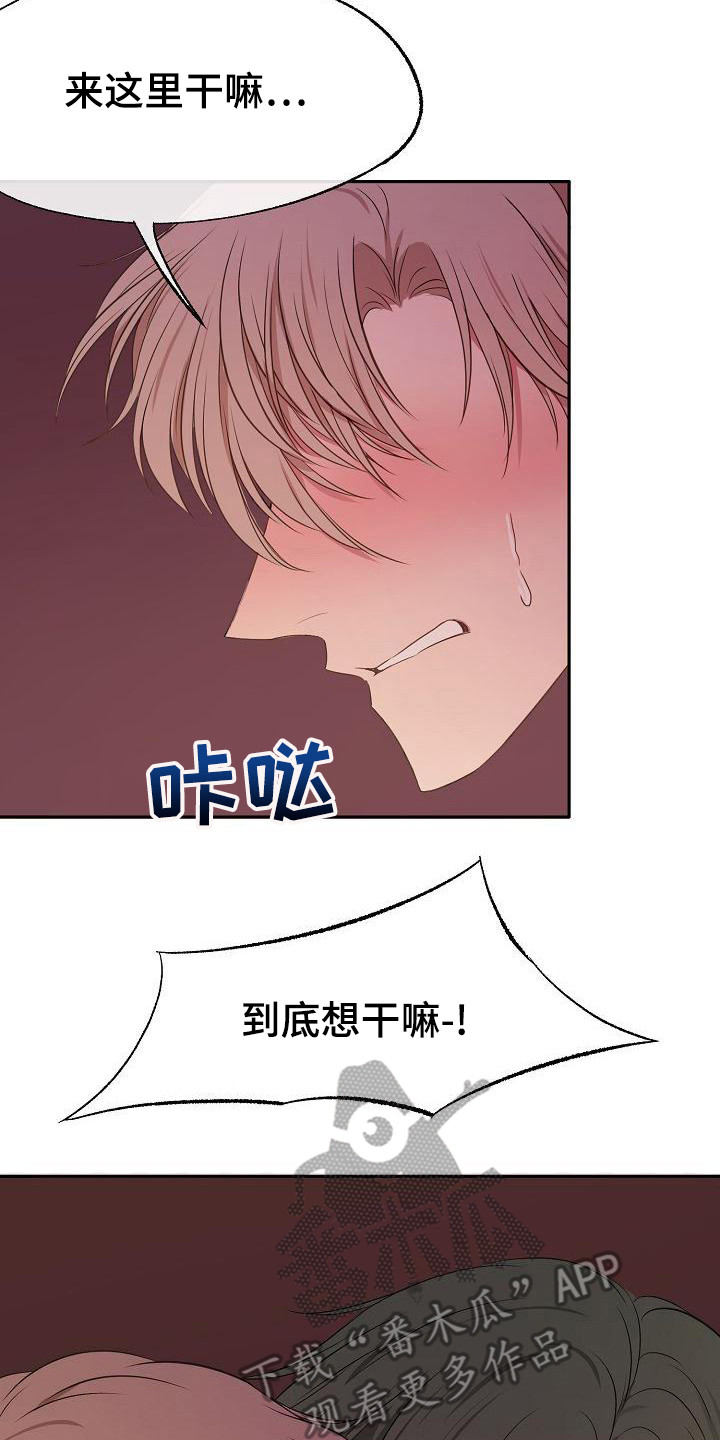 第43章：采访19
