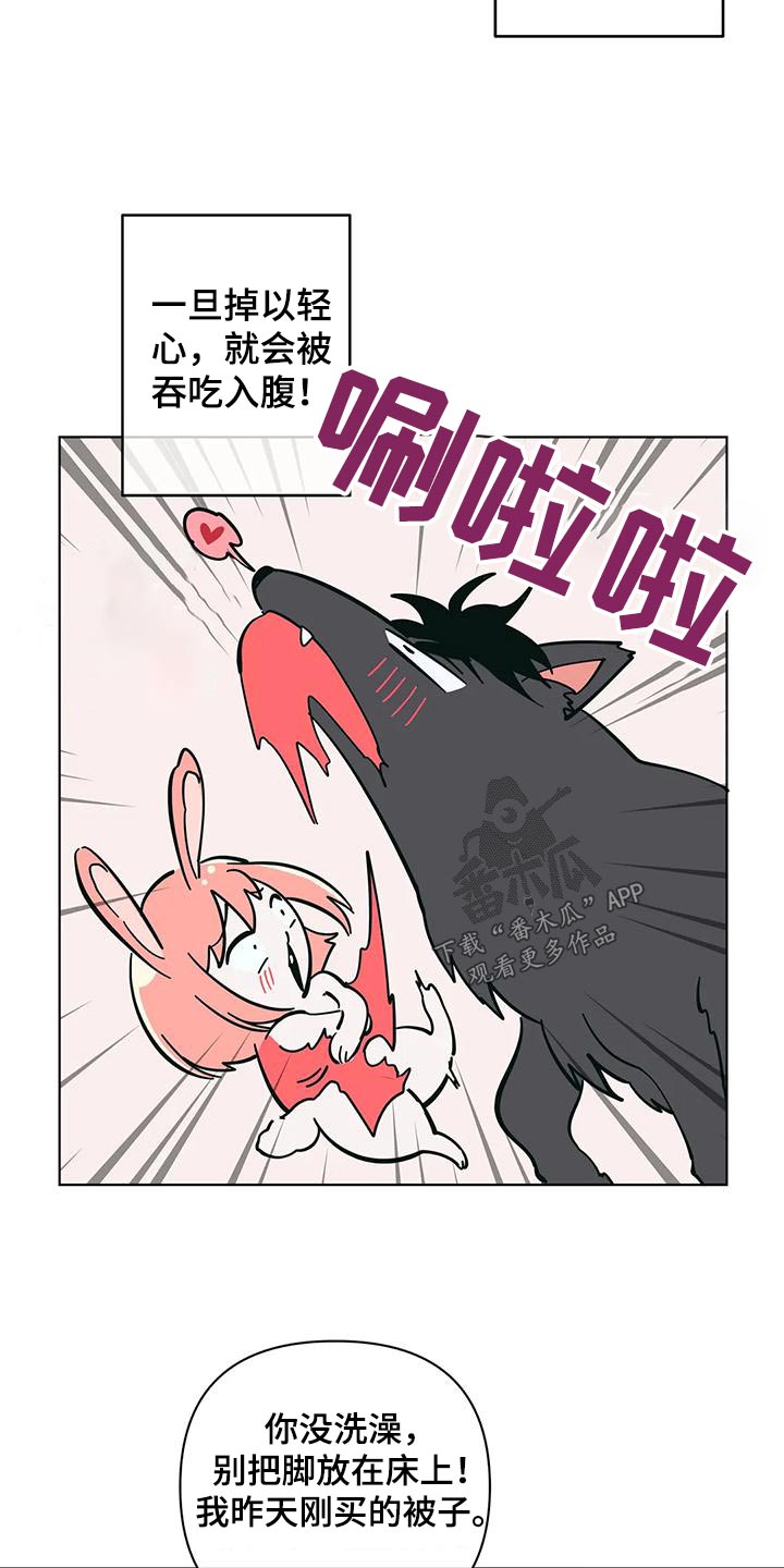 第80章：参观11