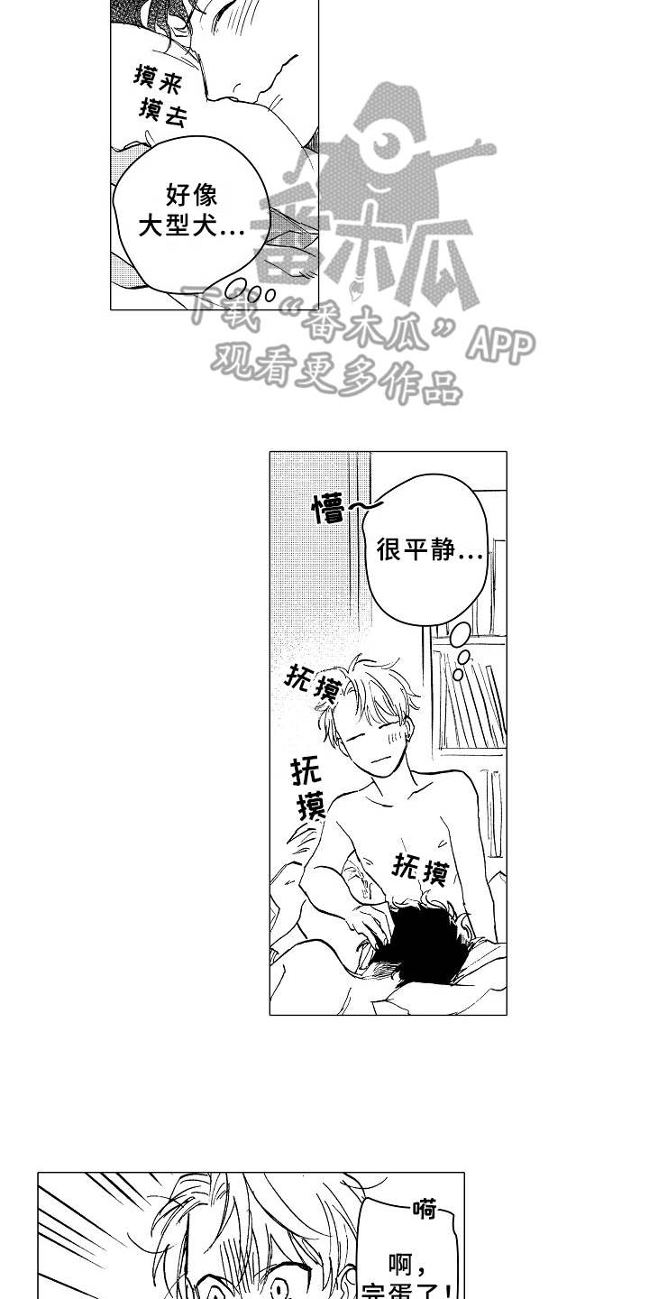 第19章：更加温暖12