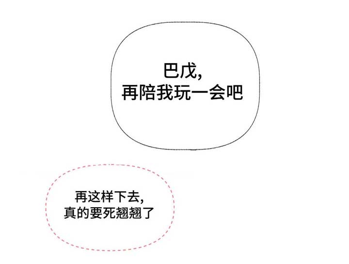 第17章：啰嗦1