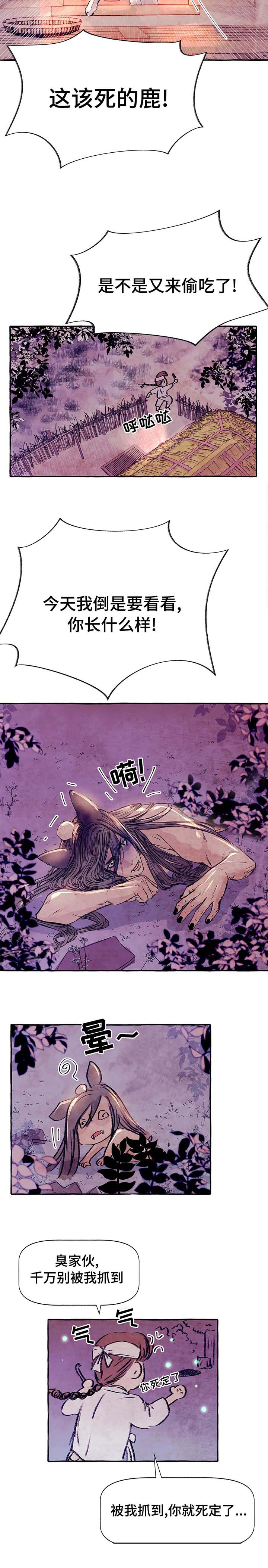 第4章：这是什么2