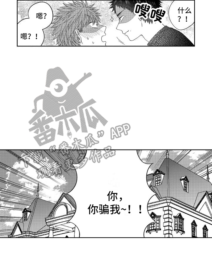 第12章：被骗了 16