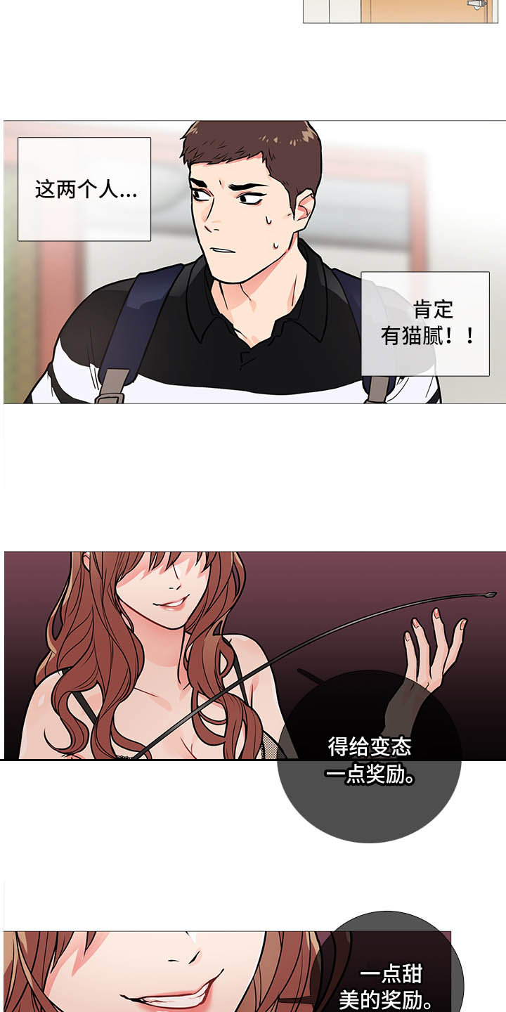 第19章：猫腻6