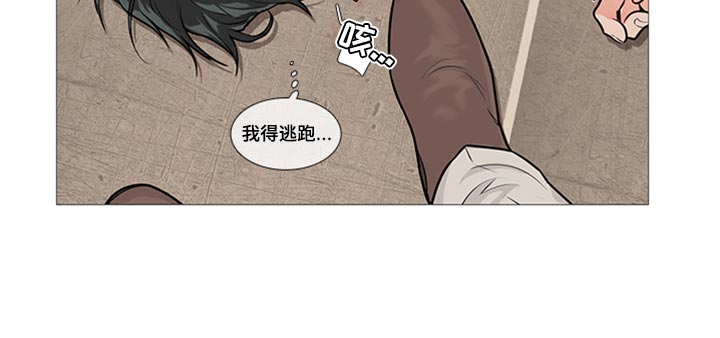第86章：我得逃跑15
