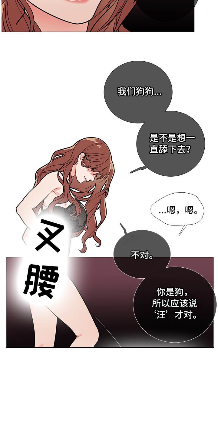 第19章：猫腻7