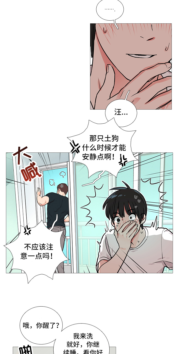 第19章：猫腻10