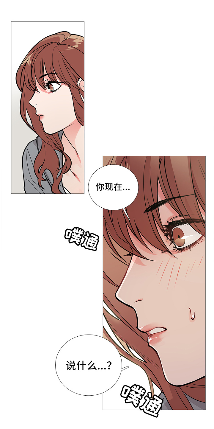 第19章：猫腻0