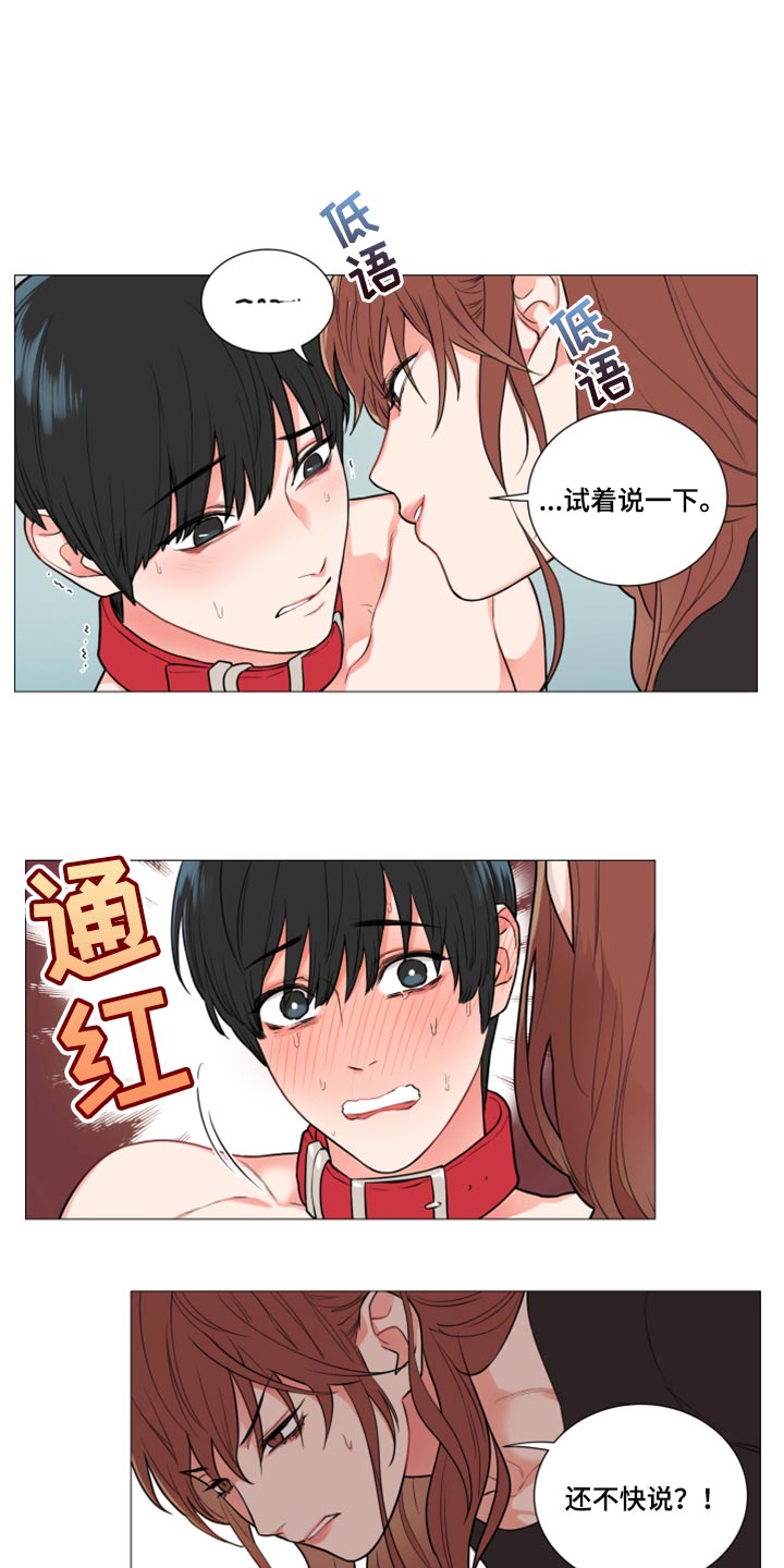 第100章：试着说一下9