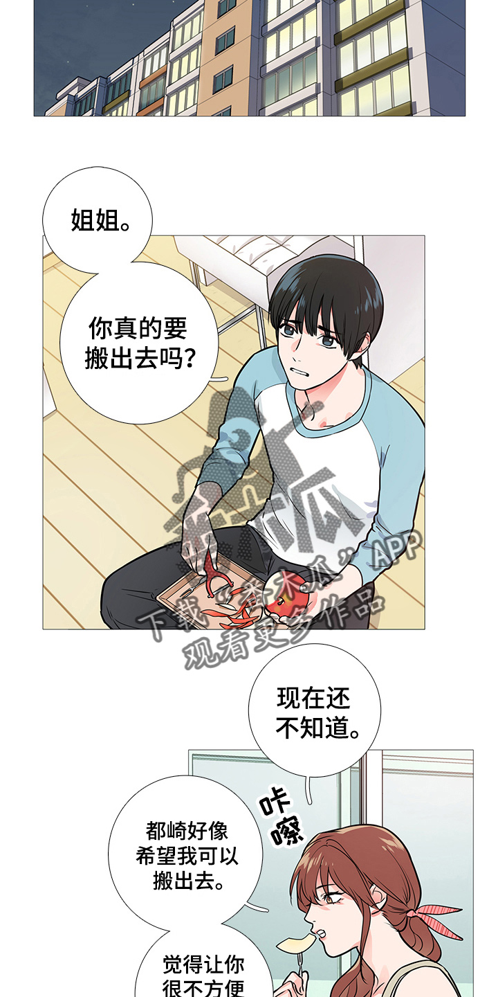 第29章：约见11