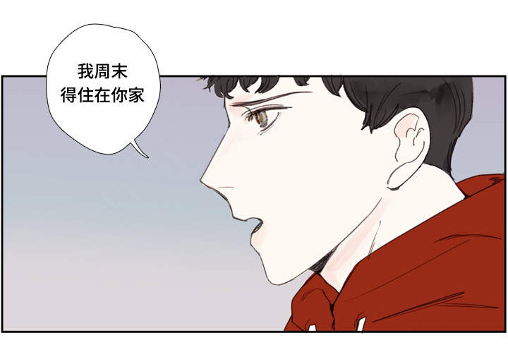 第4章：毛巾0
