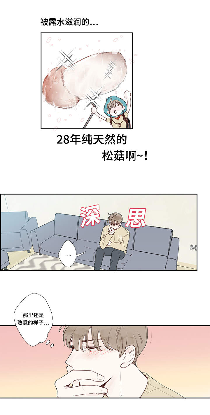 第5章：试探5