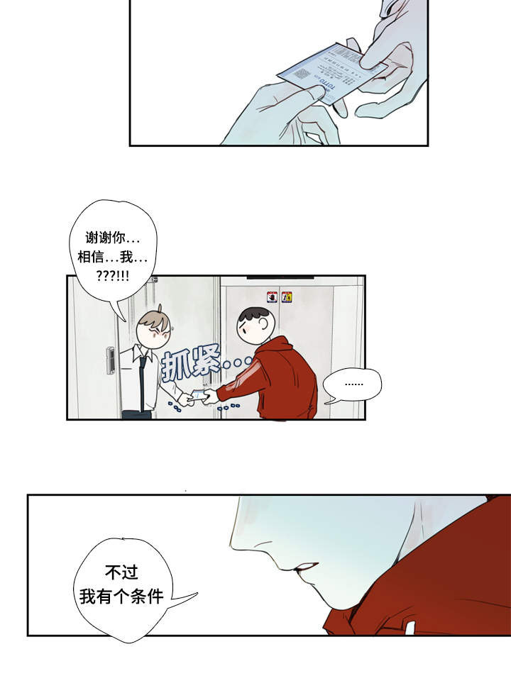 第3章：条件17