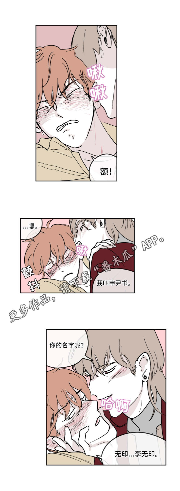 第13章：利用2