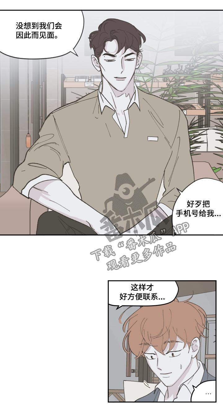 第85章：【第三季】离婚了7