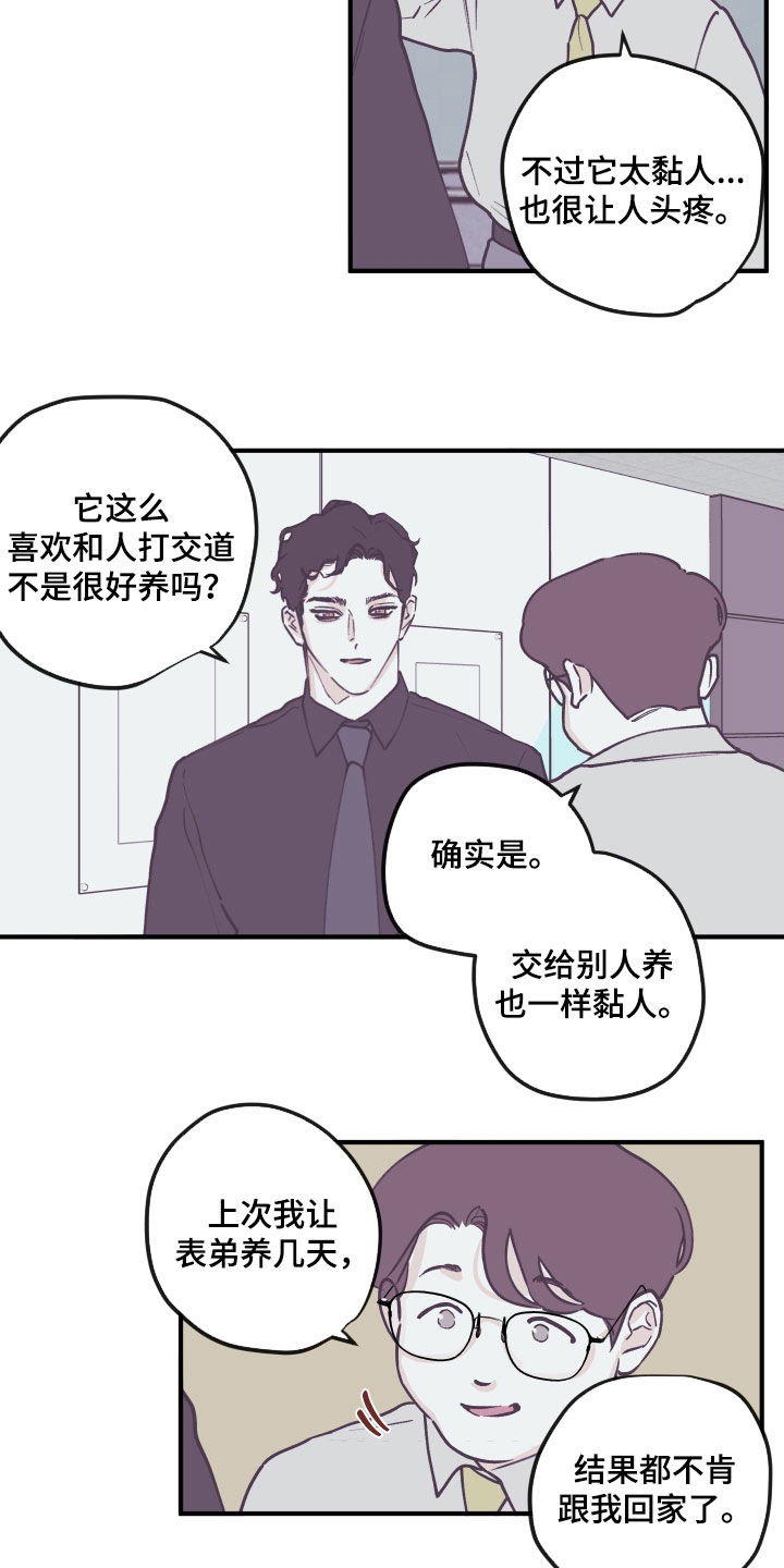 第164章：【番外】理解2