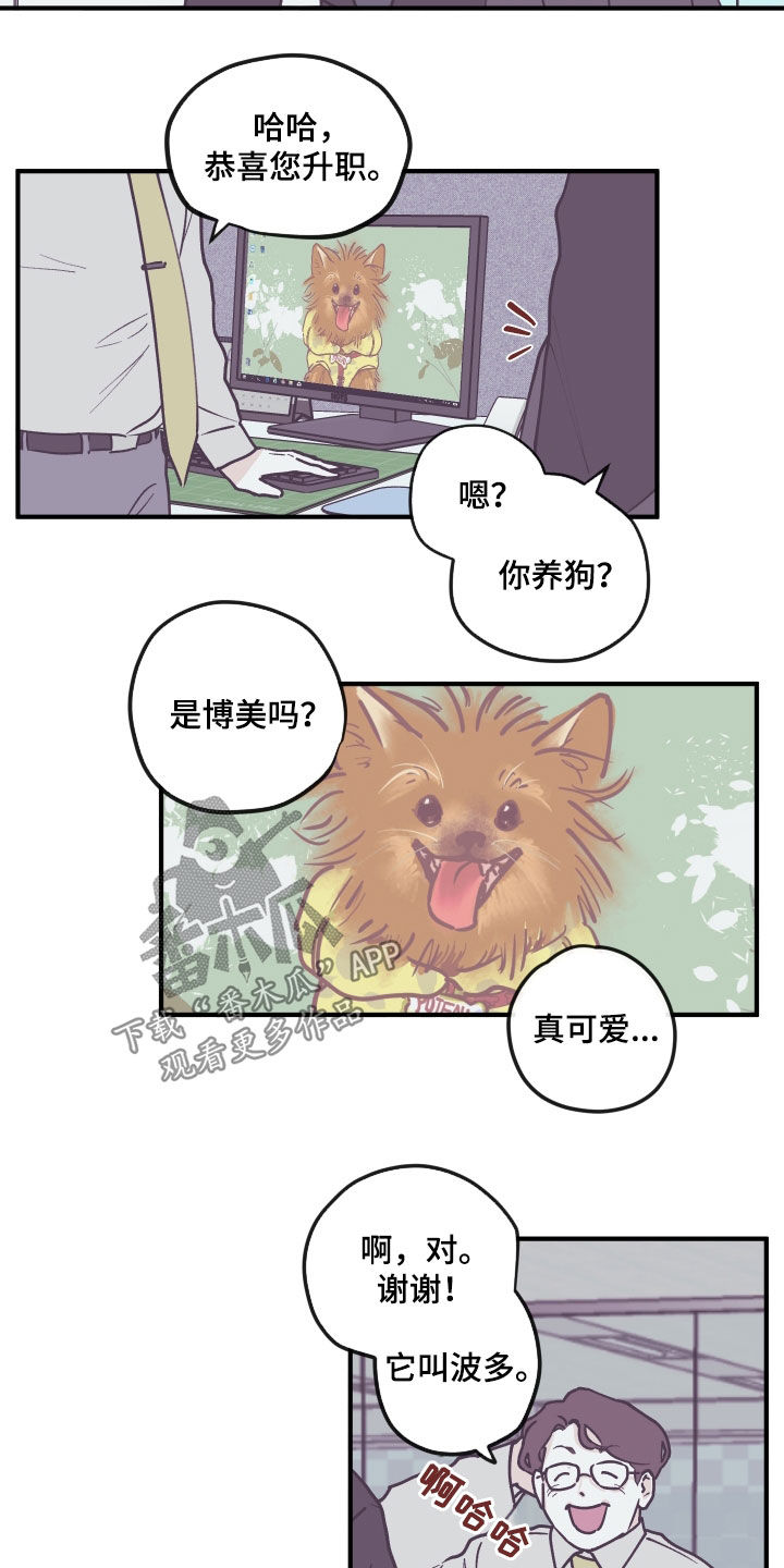 第164章：【番外】理解1