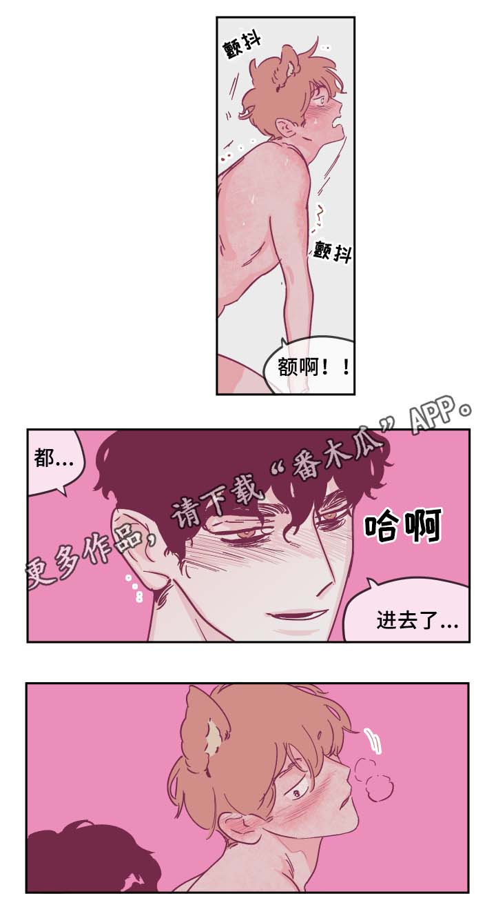 第34章：喜欢吗5