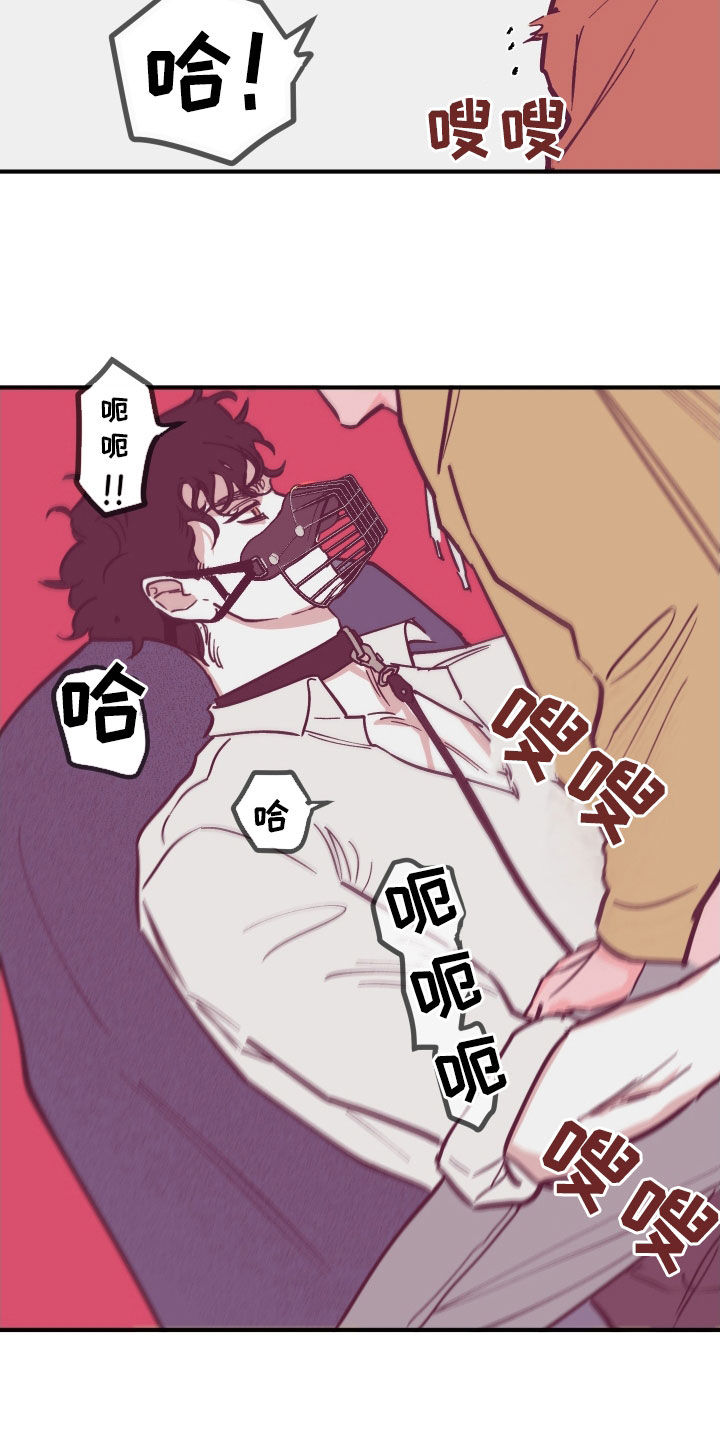 第168章：【番外】今天开始喜欢11