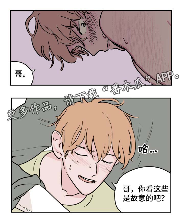 第32章：全部都要5