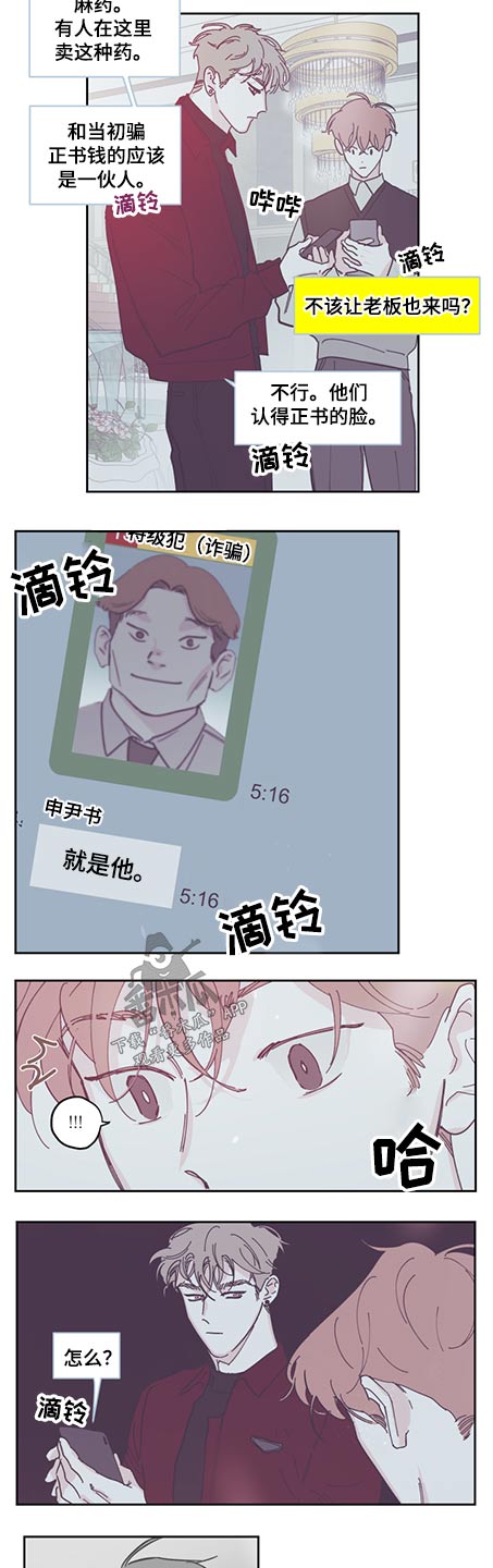 第119章：【第三季】麻药4