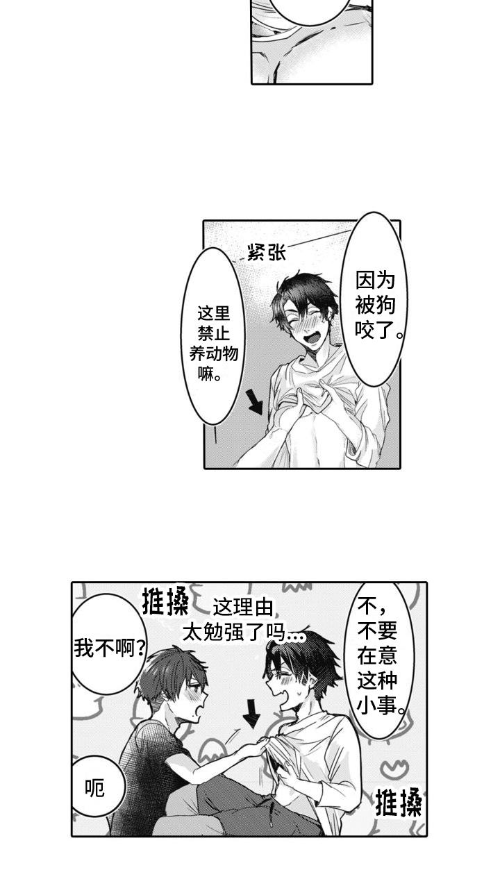 第3章：发现13