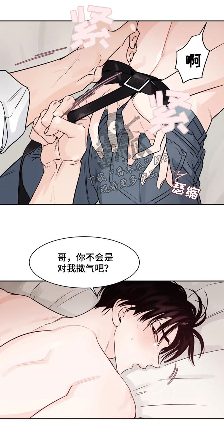 第19章：有点危险10