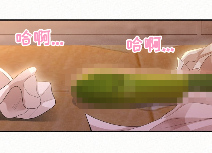 第66章：就是明天22