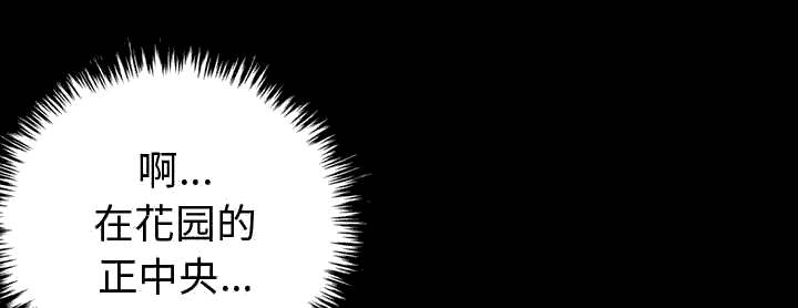 第9章：捷足先登24