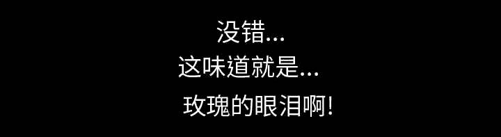 第9章：捷足先登32