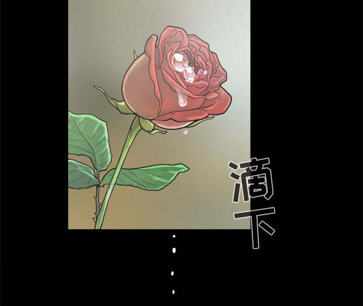 第9章：捷足先登27