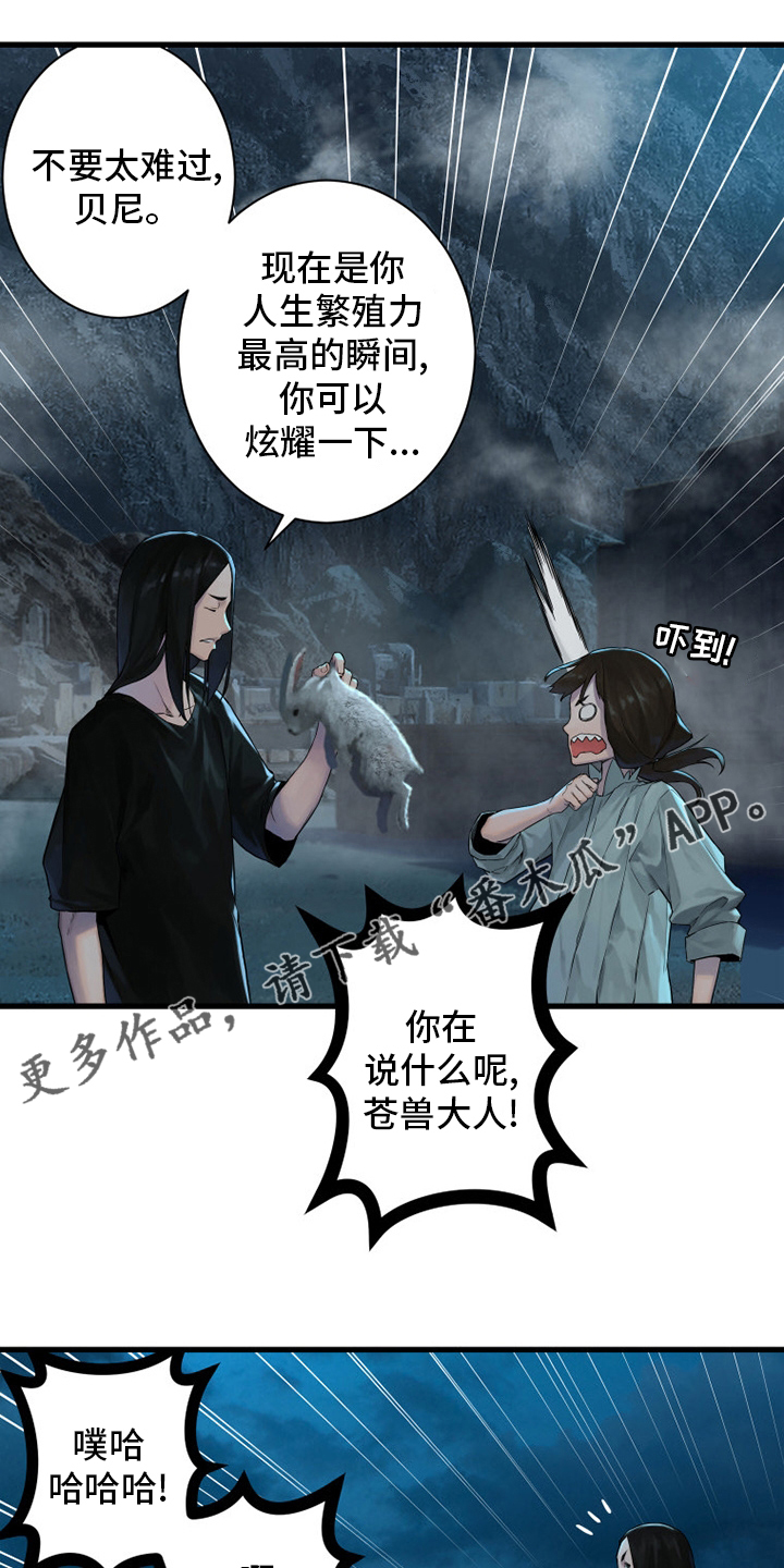 第144章：最高召唤术0