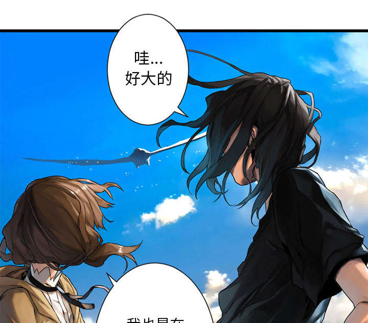 第45章：前途无岸0