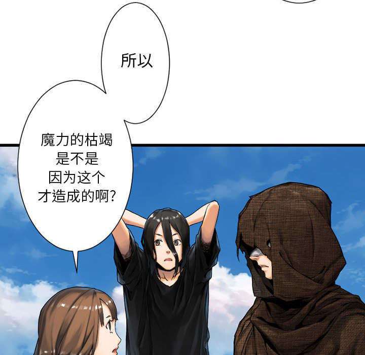 第46章：面圣21