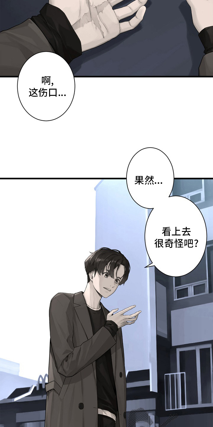 第184章：过去了13