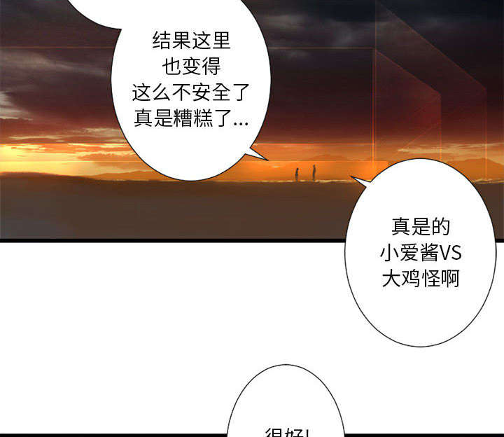 第27章：WS力场37