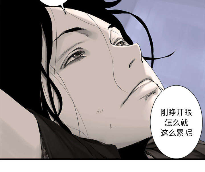 第5章：脚上的叶片30