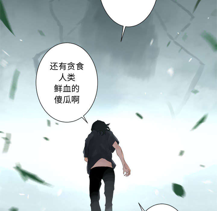 第3章：成为了召唤兽24