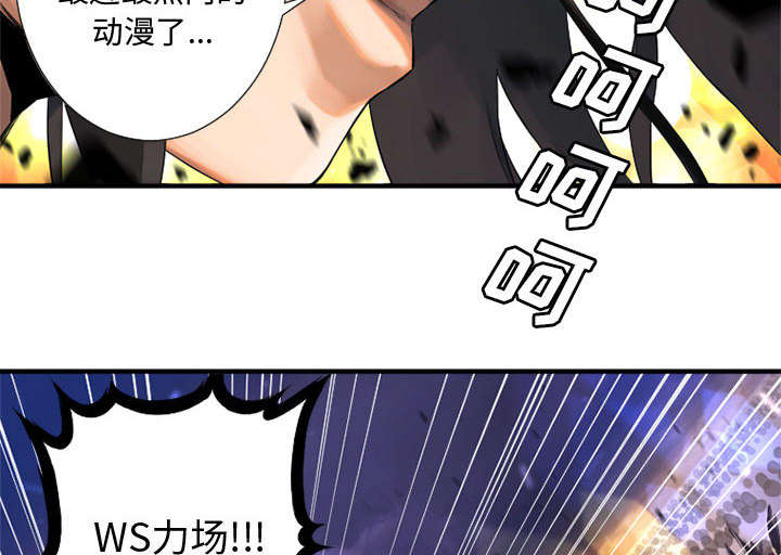 第27章：WS力场7