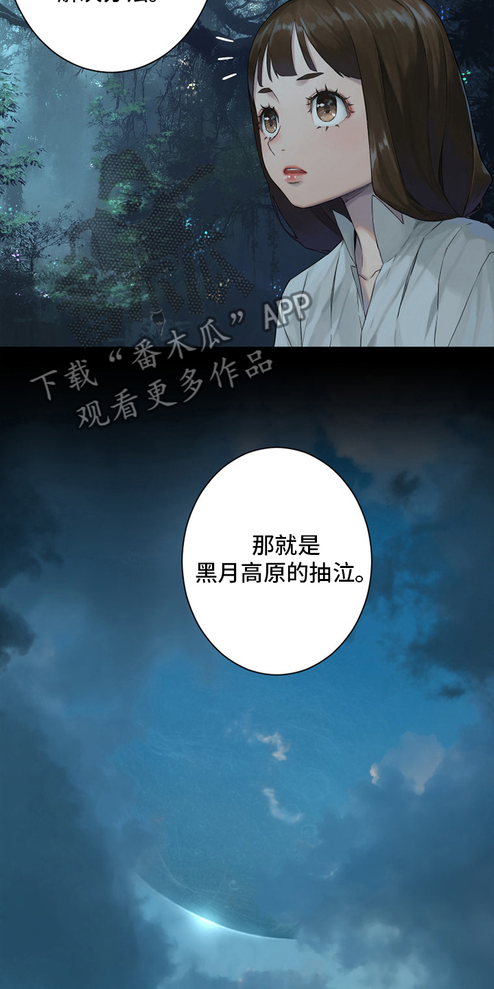 第162章：阴谋2