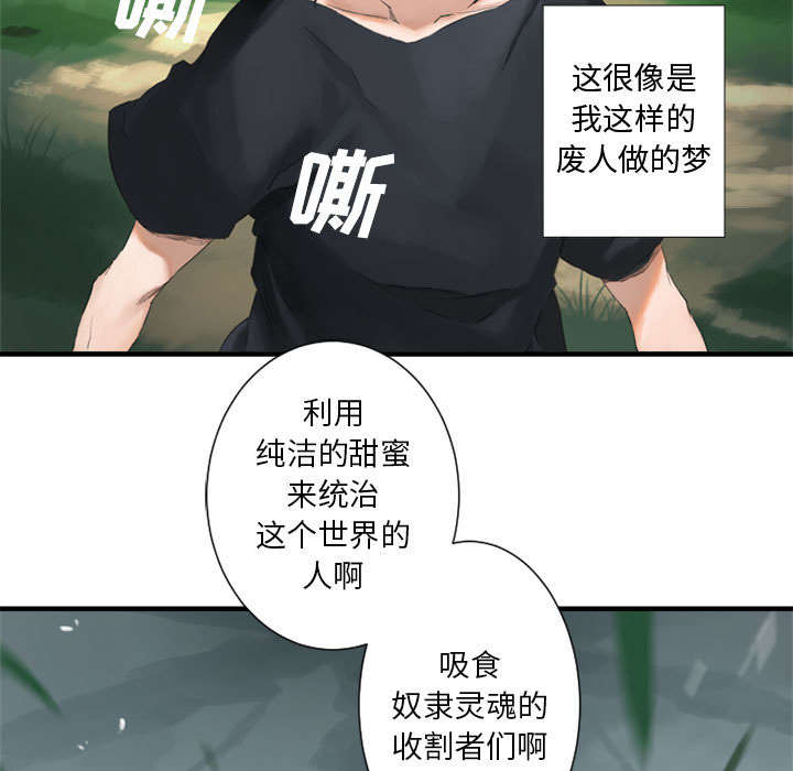 第3章：成为了召唤兽23